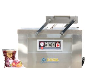 Máy hút chân không công nghiệp DZQ 400 2S
