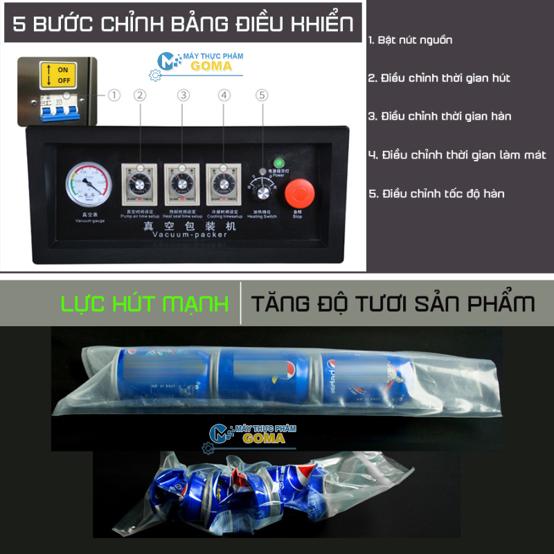 Máy hút chân không công nghiệp DZQ 600 2SA
