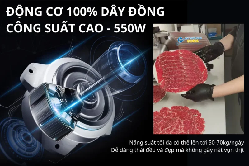 Máy thái thịt tự động SL300E năng suất cao