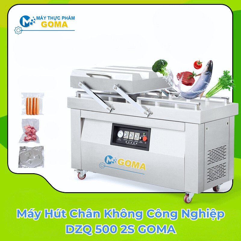 Máy hút chân không công nghiệp DZQ 500 2S