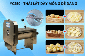 Máy thái rau củ quả Inox Yc250